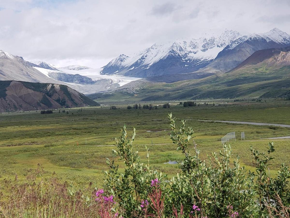 Denali Wild Stay - Moose Cabin, Free Wifi, 2 Private Bedrooms, Sleep 6 Healy Εξωτερικό φωτογραφία