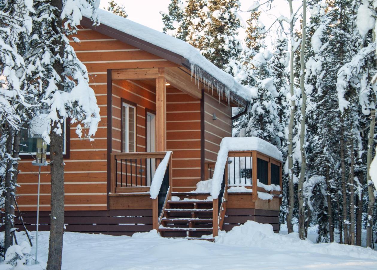 Denali Wild Stay - Moose Cabin, Free Wifi, 2 Private Bedrooms, Sleep 6 Healy Εξωτερικό φωτογραφία