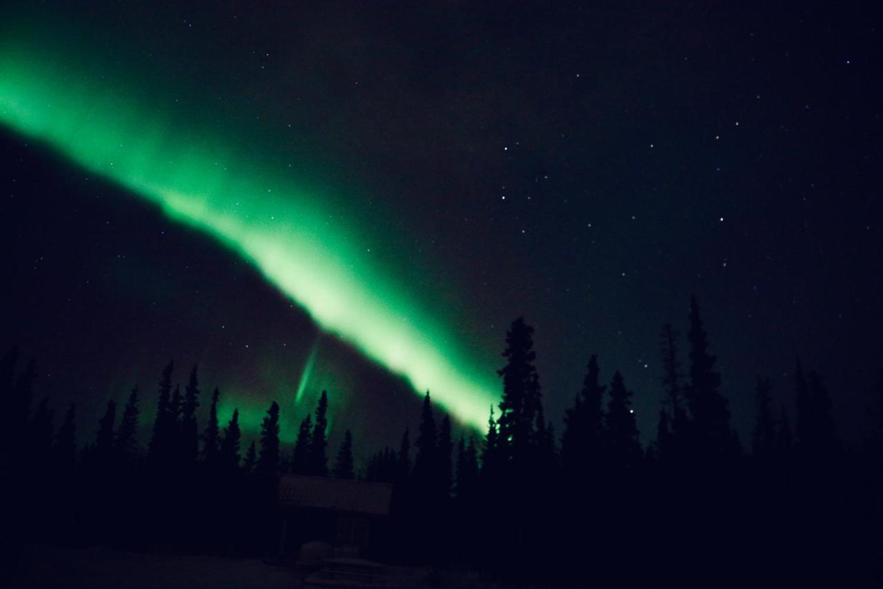 Denali Wild Stay - Moose Cabin, Free Wifi, 2 Private Bedrooms, Sleep 6 Healy Εξωτερικό φωτογραφία