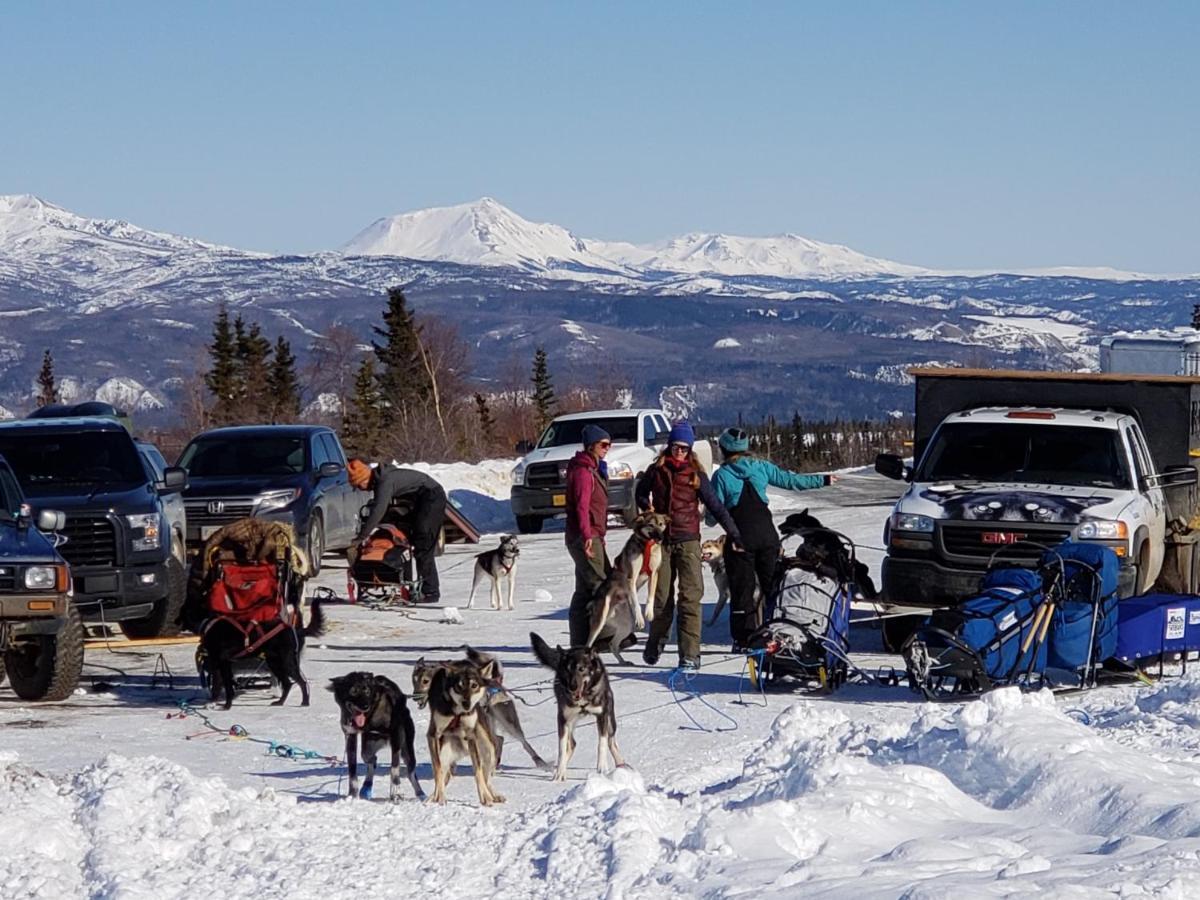 Denali Wild Stay - Moose Cabin, Free Wifi, 2 Private Bedrooms, Sleep 6 Healy Εξωτερικό φωτογραφία