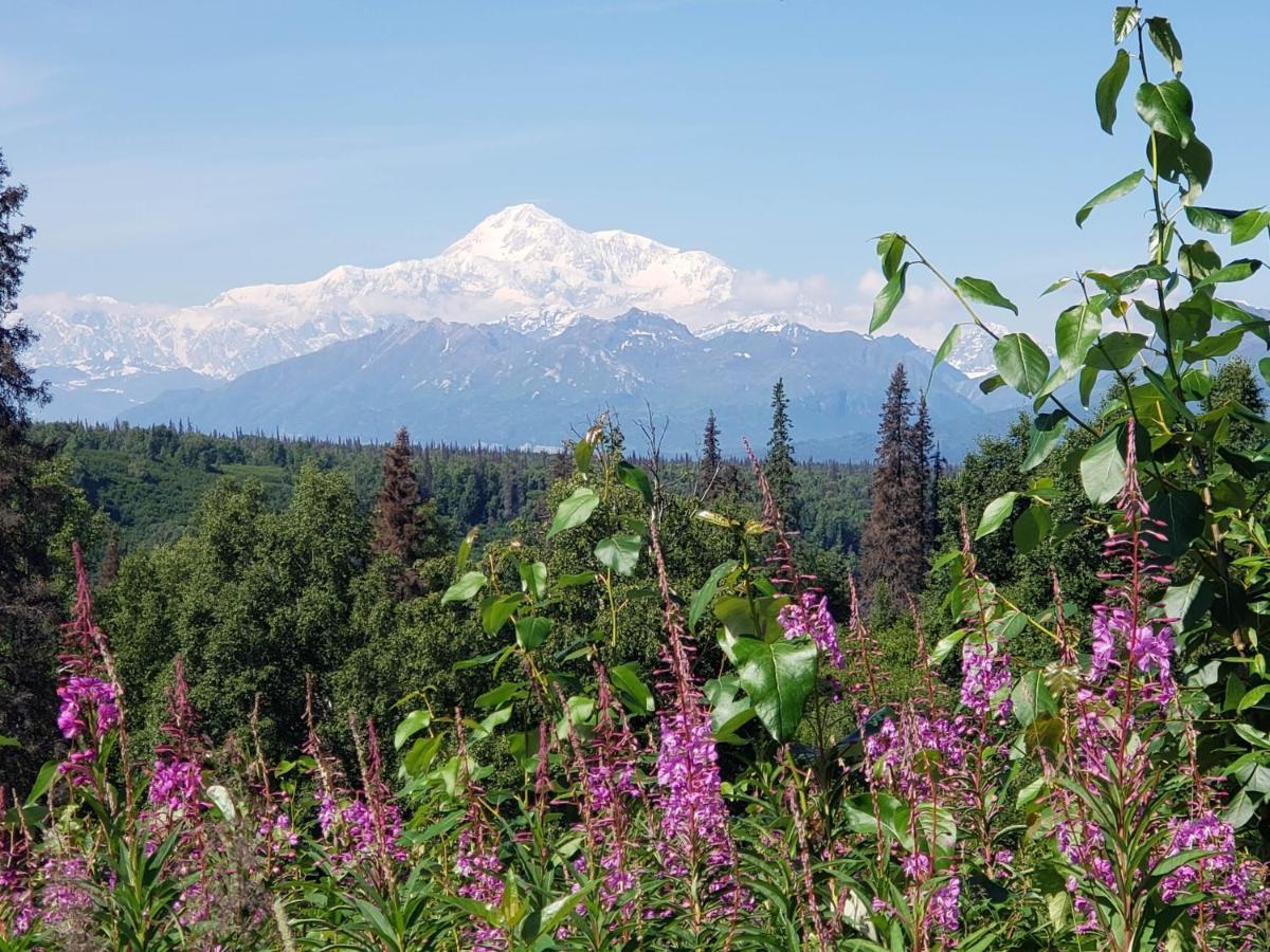 Denali Wild Stay - Moose Cabin, Free Wifi, 2 Private Bedrooms, Sleep 6 Healy Εξωτερικό φωτογραφία