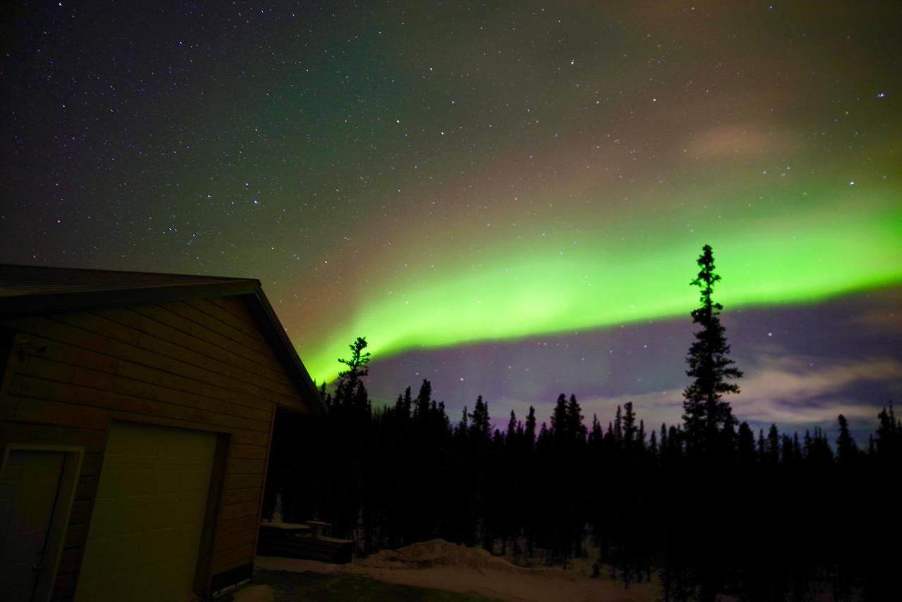 Denali Wild Stay - Moose Cabin, Free Wifi, 2 Private Bedrooms, Sleep 6 Healy Εξωτερικό φωτογραφία