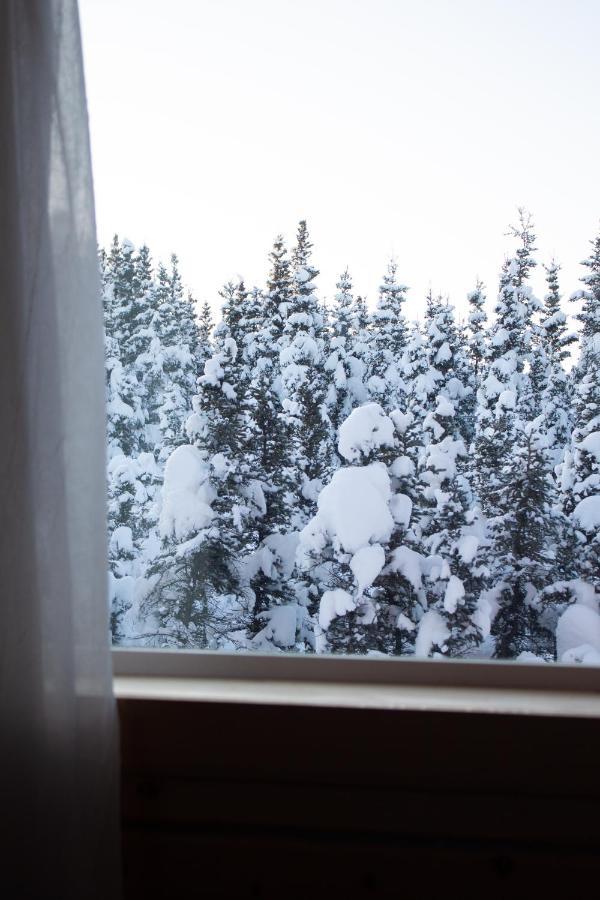 Denali Wild Stay - Moose Cabin, Free Wifi, 2 Private Bedrooms, Sleep 6 Healy Εξωτερικό φωτογραφία