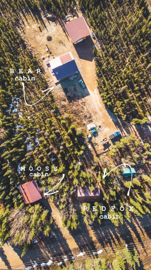 Denali Wild Stay - Moose Cabin, Free Wifi, 2 Private Bedrooms, Sleep 6 Healy Εξωτερικό φωτογραφία